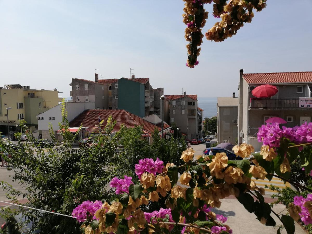 Apartma Anita